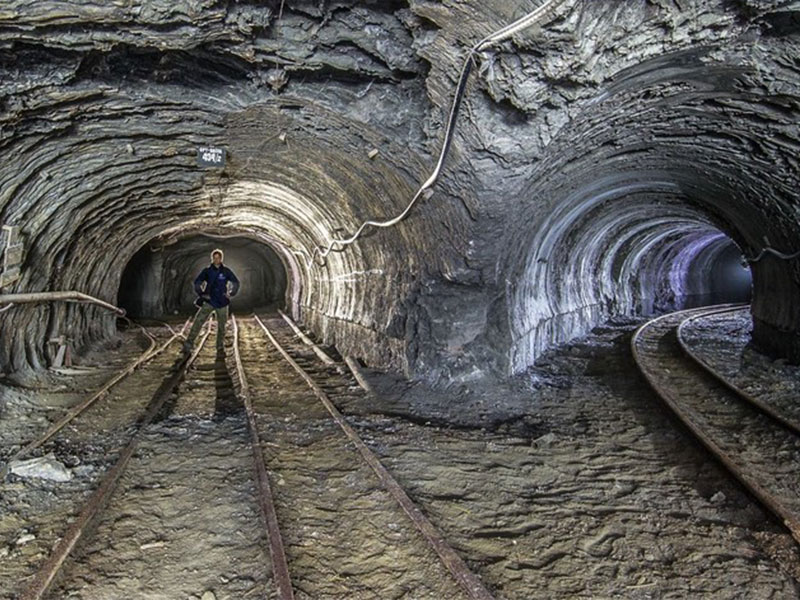 Carrier Communication Solutions